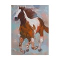 Trademark Fine Art Hooshang Khorasani 'Painted Horse 2' Canvas Art, 18x24 ALI35827-C1824GG